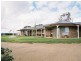 183 Spring Creek Road, Young NSW 2594