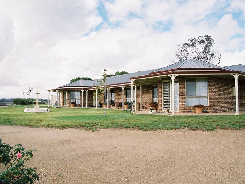 183 Spring Creek Road, Young NSW 2594