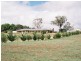 183 Spring Creek Road, Young NSW 2594