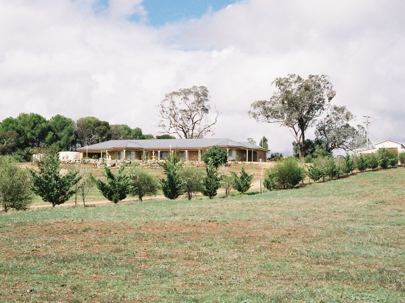183 Spring Creek Road, Young NSW 2594