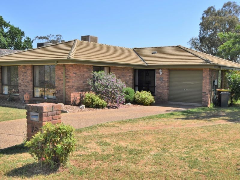 17 Dwyer Drive, Young NSW 2594