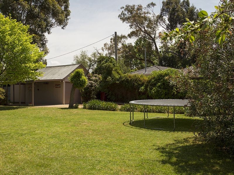 41 Edwards Street, Young NSW 2594