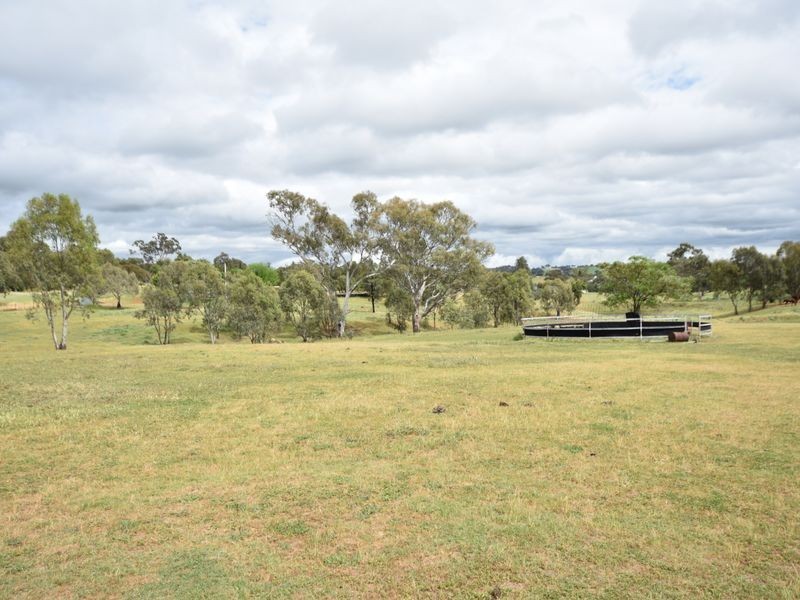 80 Normans Rd, Young NSW 2594