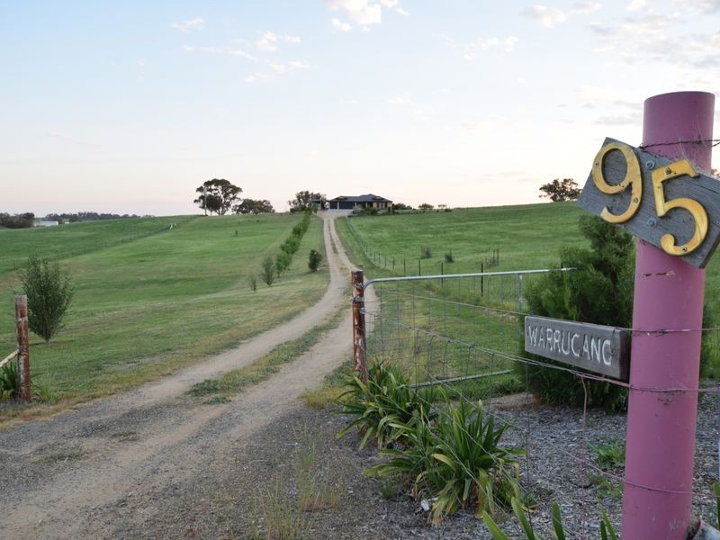 95 Belmore Road, Young NSW 2594