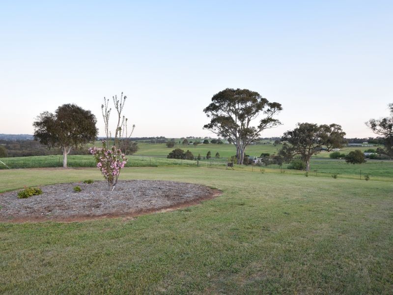 95 Belmore Road, Young NSW 2594