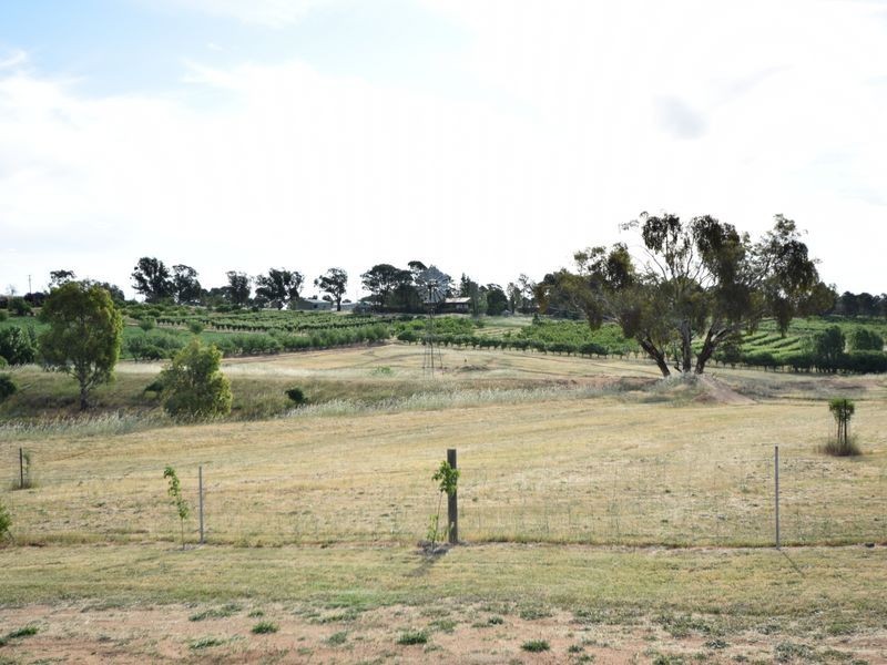 17 Old Monteagle Rd, Young NSW 2594