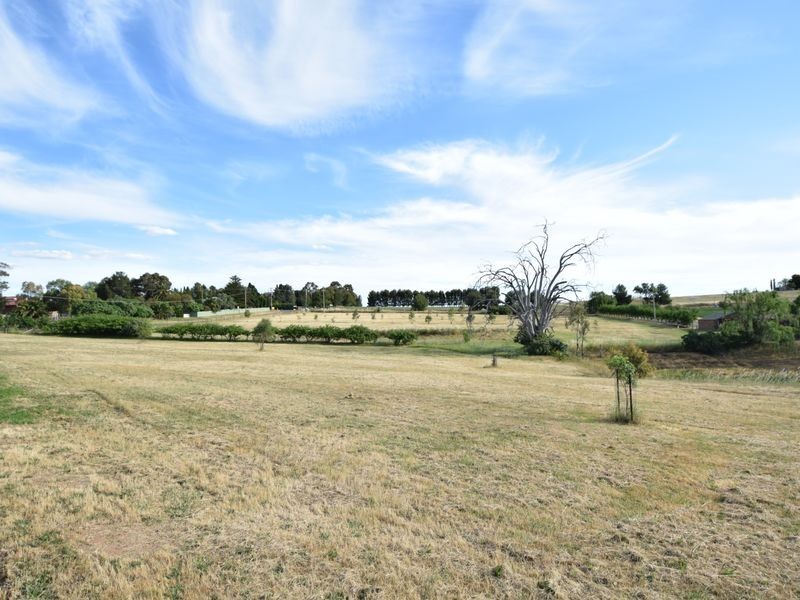 17 Old Monteagle Rd, Young NSW 2594