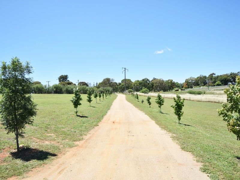 205 Henry Lawson Way, Young NSW 2594