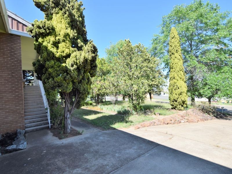 24 Taylor Rd, Young NSW 2594