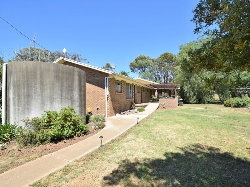 3346 Murringo Rd, Young NSW 2594