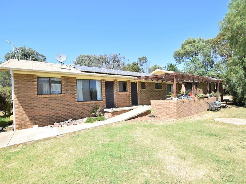 3346 Murringo Rd, Young NSW 2594