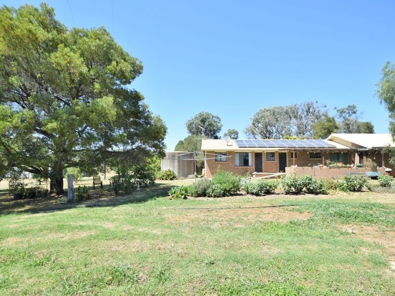 3346 Murringo Rd, Young NSW 2594