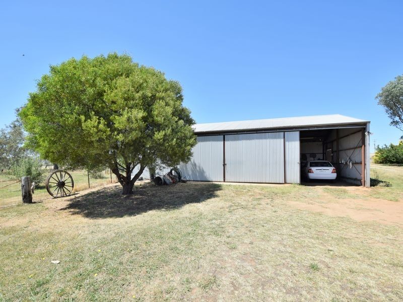 3346 Murringo Rd, Young NSW 2594