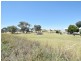 3346 Murringo Rd, Young NSW 2594