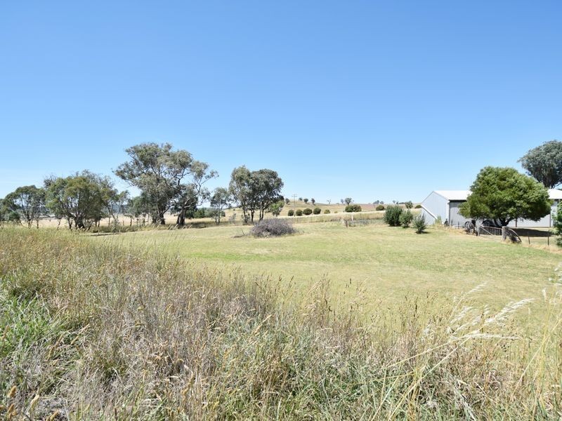 3346 Murringo Rd, Young NSW 2594