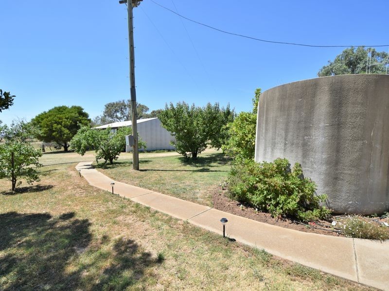 3346 Murringo Rd, Young NSW 2594