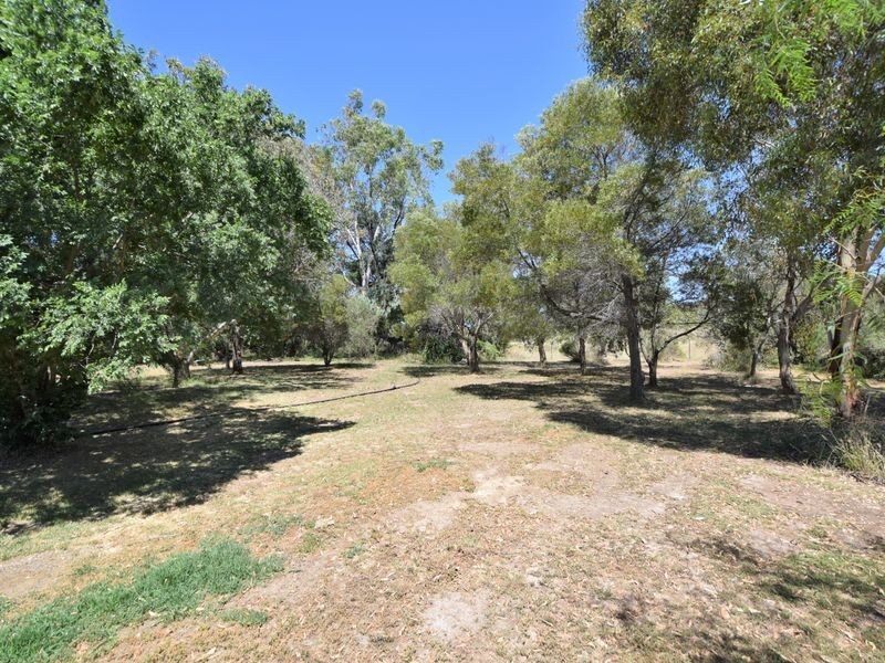 3346 Murringo Rd, Young NSW 2594
