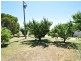 3346 Murringo Rd, Young NSW 2594