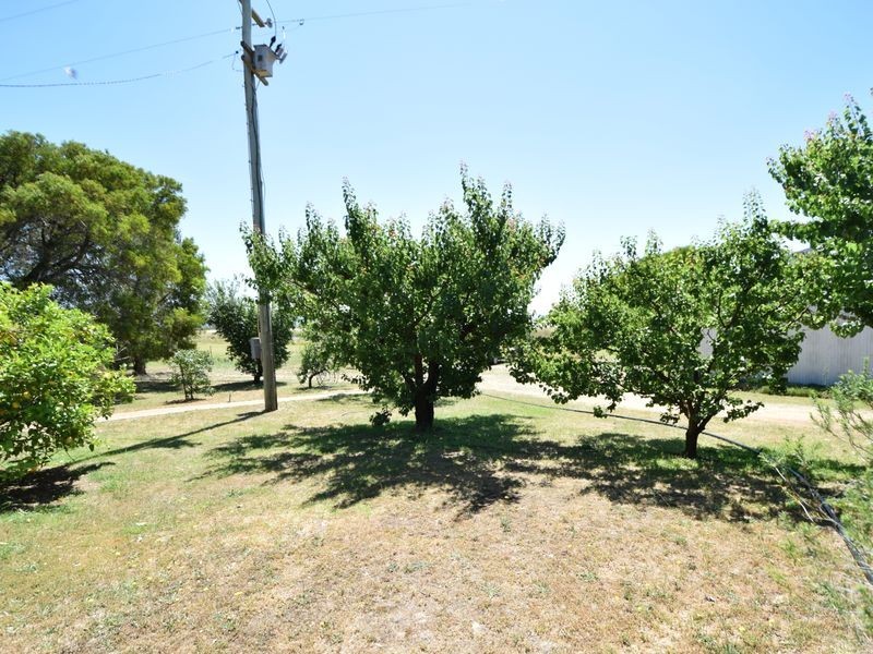 3346 Murringo Rd, Young NSW 2594