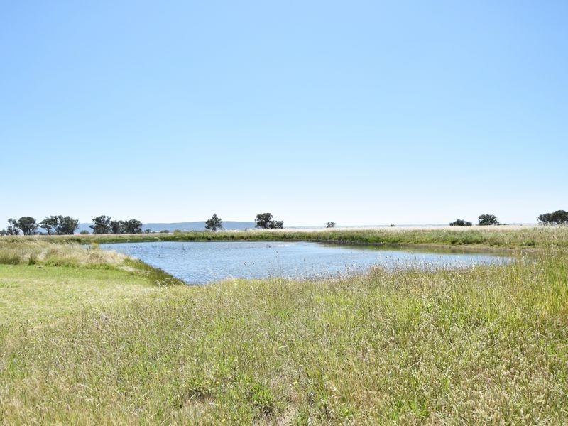 3346 Murringo Rd, Young NSW 2594