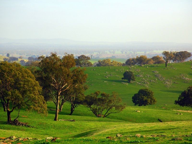 00 Littlebrook, Young NSW 2594