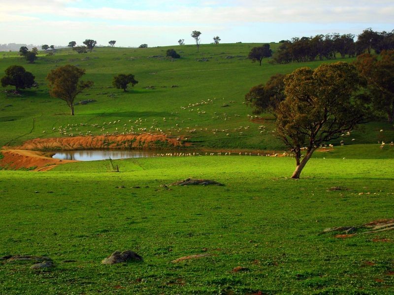 00 Littlebrook, Young NSW 2594