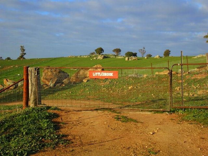 00 Littlebrook, Young NSW 2594