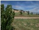 26 Cherryvale Place, Young NSW 2594