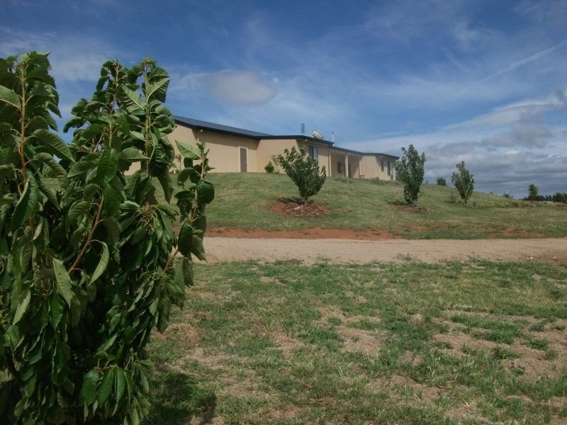 26 Cherryvale Place, Young NSW 2594