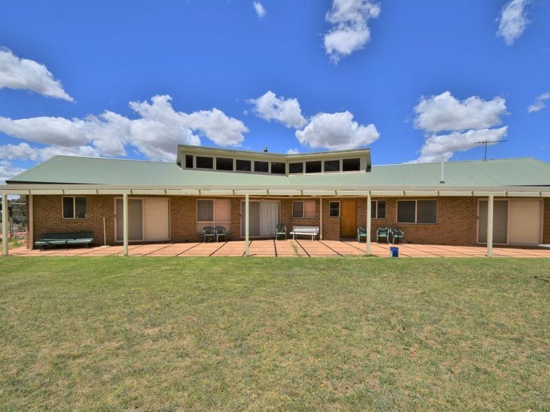 42 Batinichs Road, Young NSW 2594