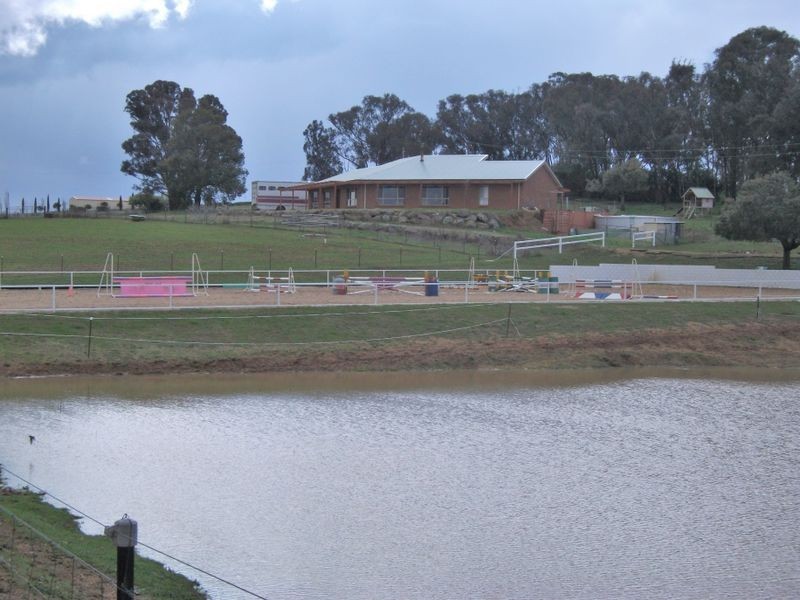 42 Batinichs Road, Young NSW 2594