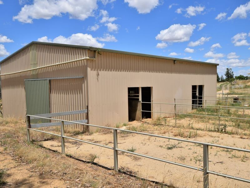 42 Batinichs Road, Young NSW 2594