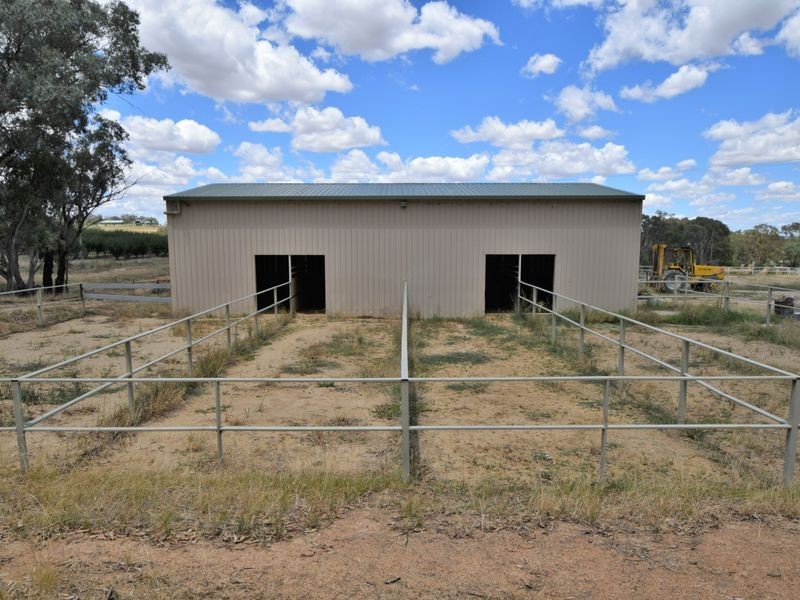 42 Batinichs Road, Young NSW 2594