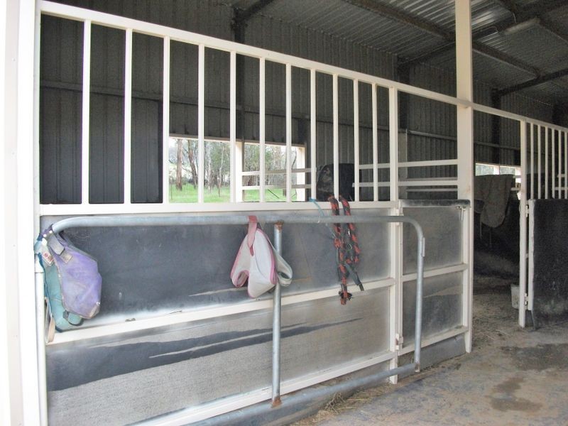 42 Batinichs Road, Young NSW 2594