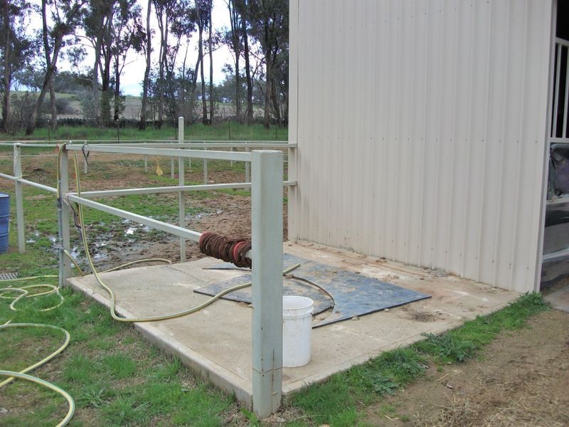 42 Batinichs Road, Young NSW 2594