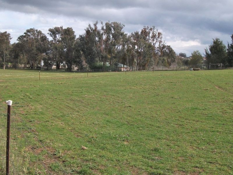 42 Batinichs Road, Young NSW 2594