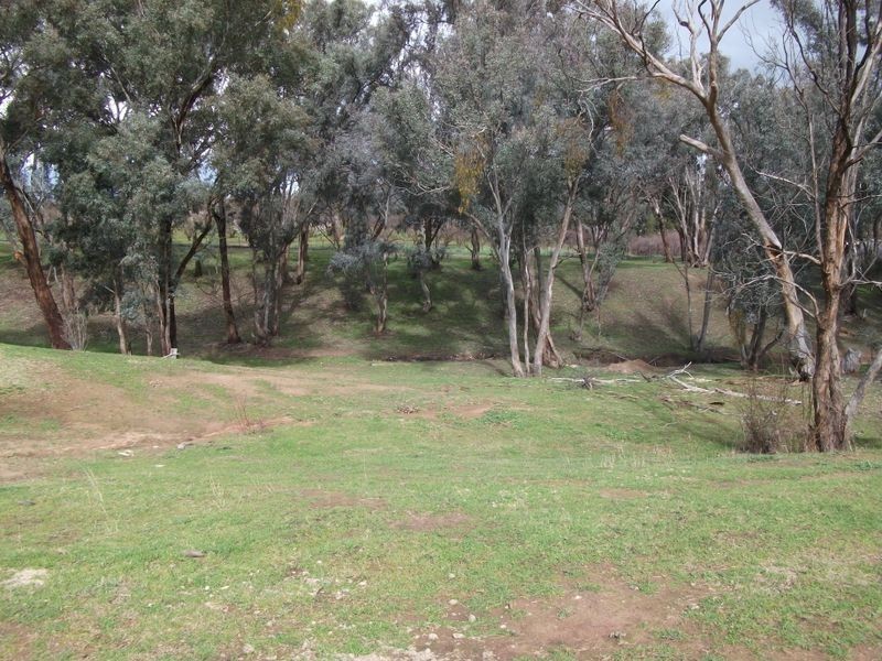 42 Batinichs Road, Young NSW 2594