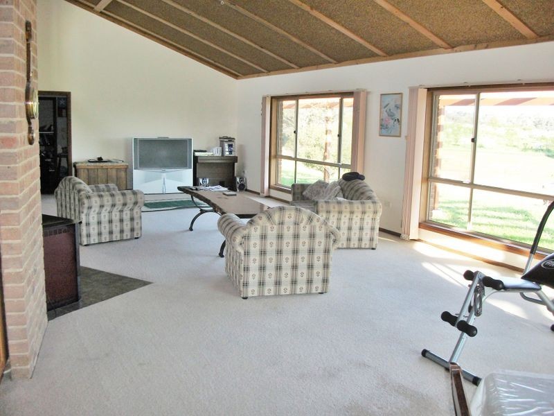 42 Batinichs Road, Young NSW 2594