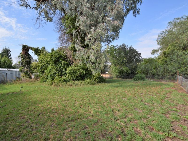 33 Lachlan Street, Young NSW 2594