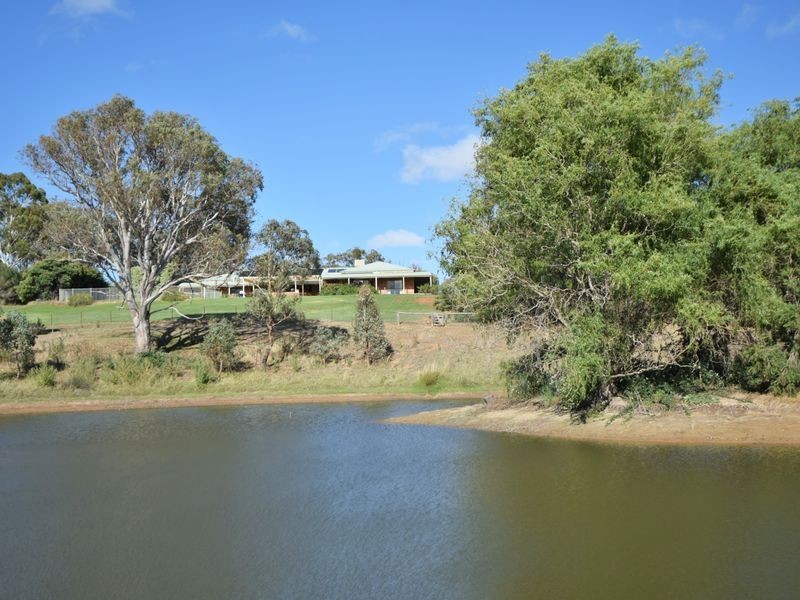9 Thornell Rd, Young NSW 2594