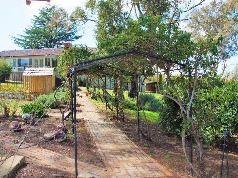 37 Elizabeth Street, Young NSW 2594