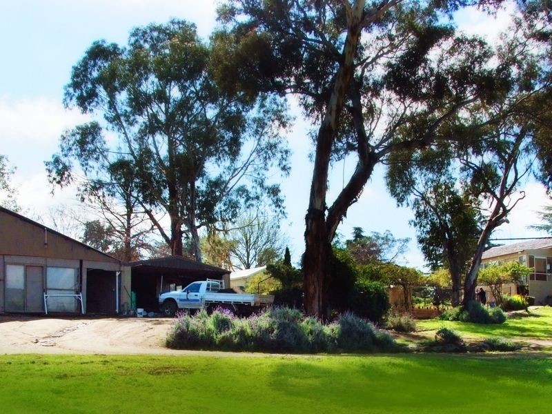 37 Elizabeth Street, Young NSW 2594