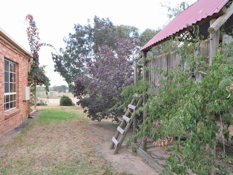 119 Thornell Rd, Young NSW 2594