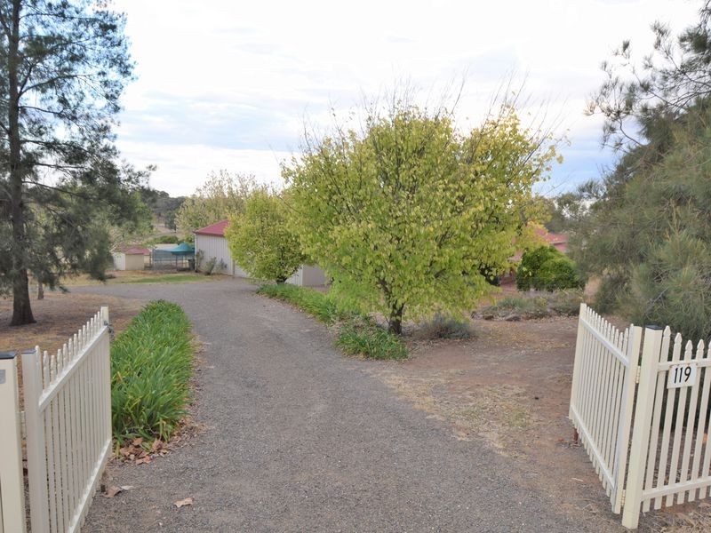 119 Thornell Rd, Young NSW 2594