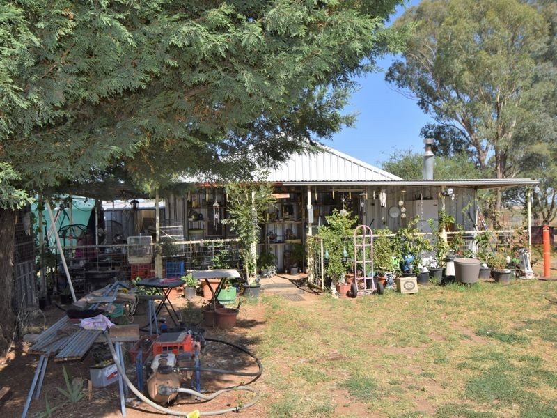 2319 Henry Lawson Way, Young NSW 2594