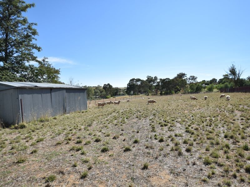 45 Nasmyth Street, Young NSW 2594