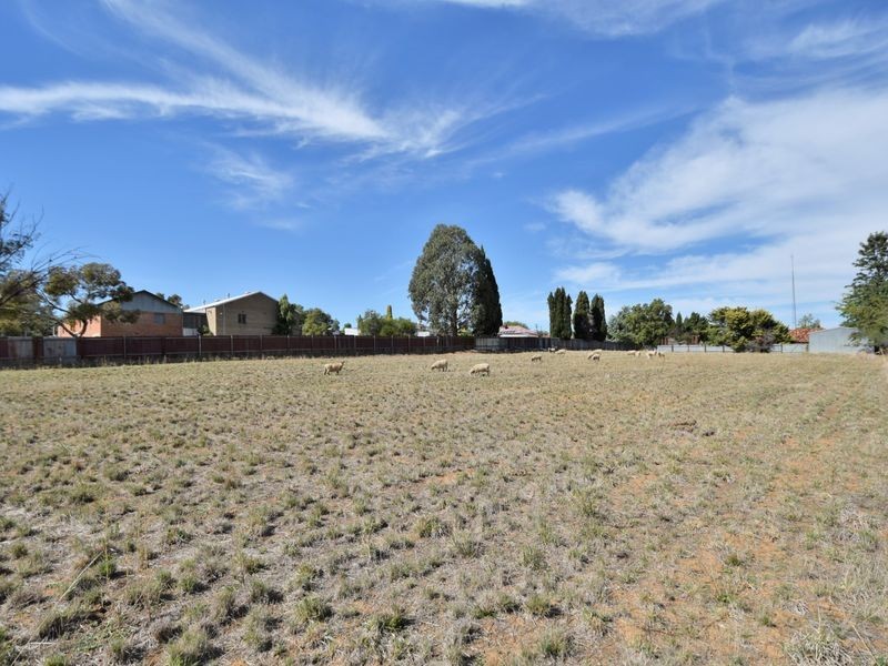 45 Nasmyth Street, Young NSW 2594