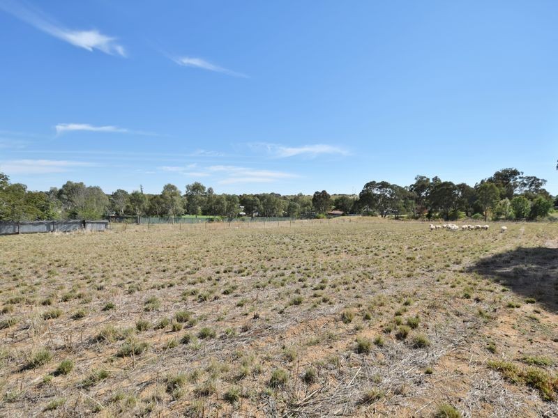 45 Nasmyth Street, Young NSW 2594