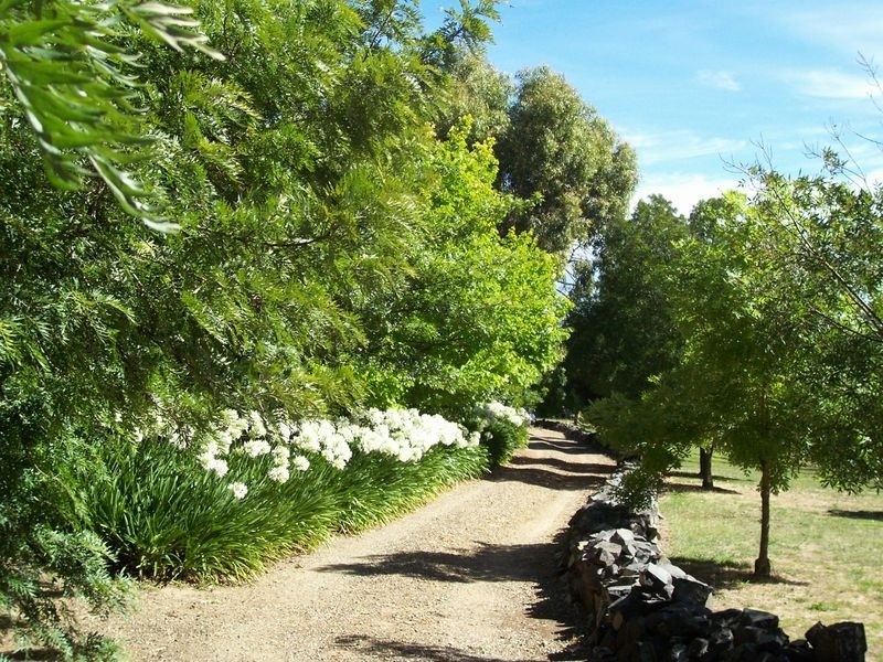 00 Tanah Merah Back Wombat Road WOMBAT, Young NSW 2594