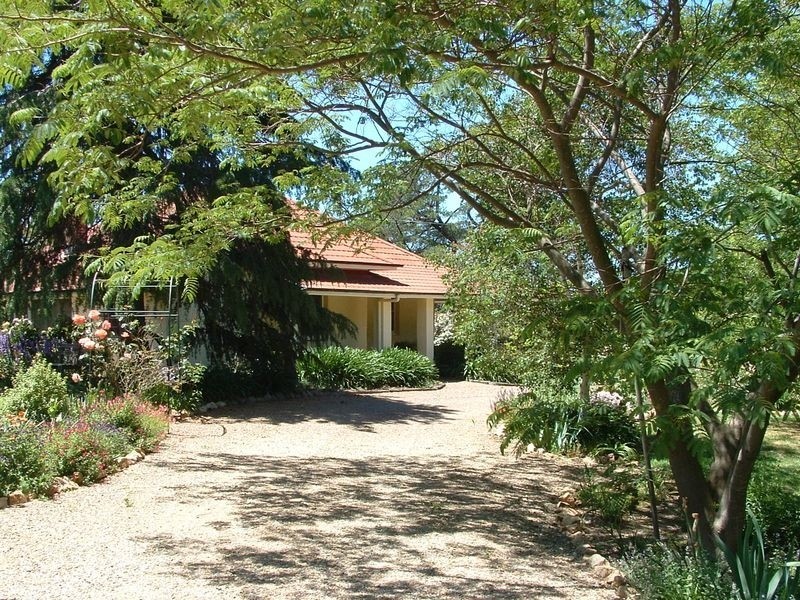 00 Tanah Merah Back Wombat Road WOMBAT, Young NSW 2594